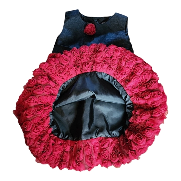 Wendy Bellissimo 18M Navy & Pink Rosette Dress Baby Girl Party Holiday - Picture 4 of 7